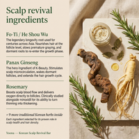 The Korean Scalp Revival Bar